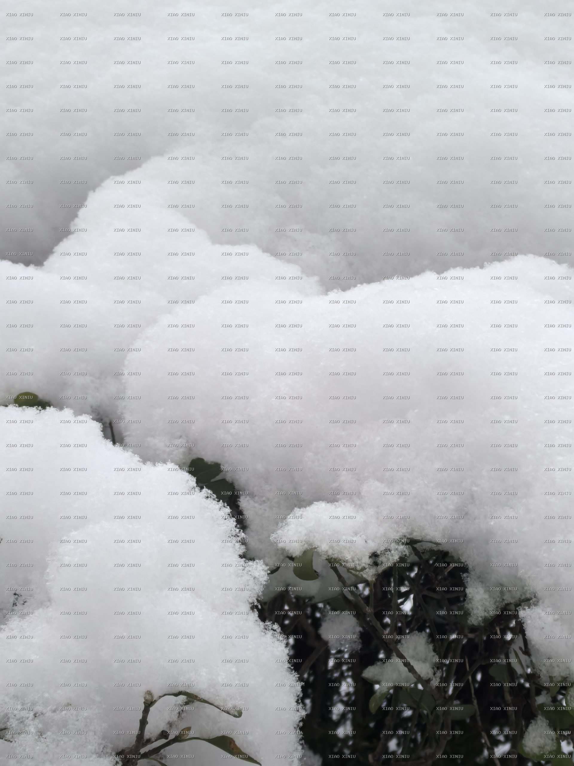 雪